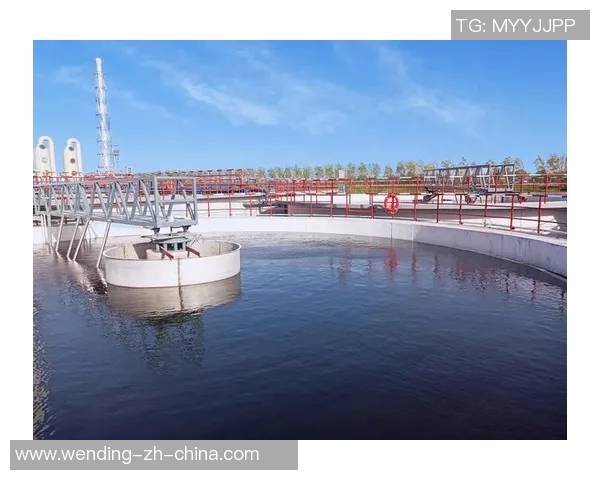 问鼎国际-问鼎国际，追求卓越，引领未来-问鼎国际